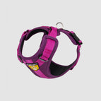 Barny Fucsia / L