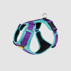 Menta Morado / M