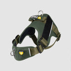 Verde Militar / XL