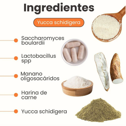 Probiotico K Flora