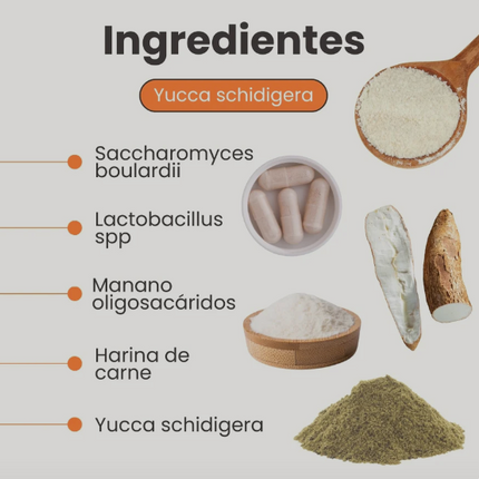 Probiotico K Flora