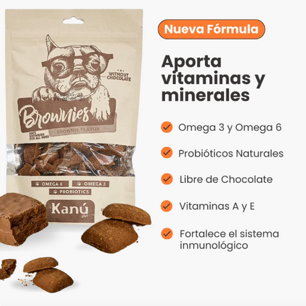 Brownies, No Chocolate