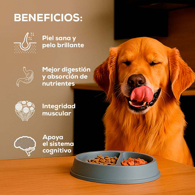 Alimento Seco Grand Vita Cordero Adulto 7+