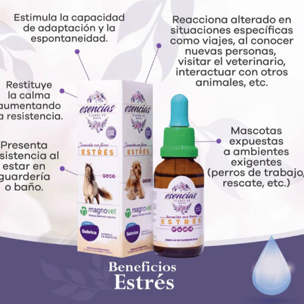 Esencia Floral Sin Estres Gotas