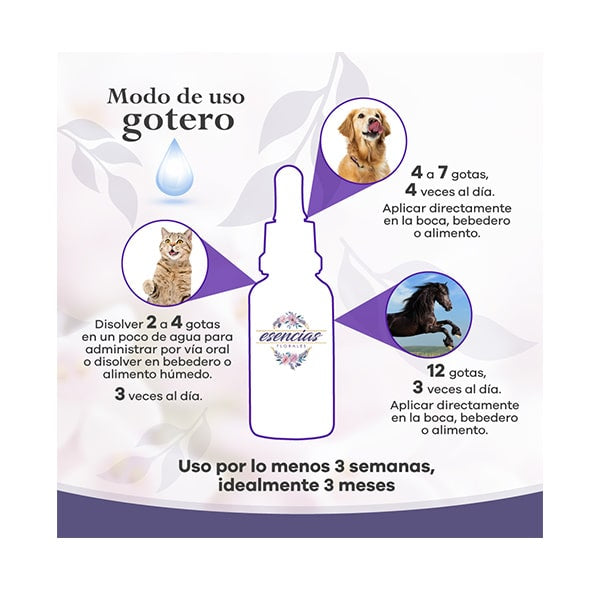 Esencia Floral Rescate Gotas