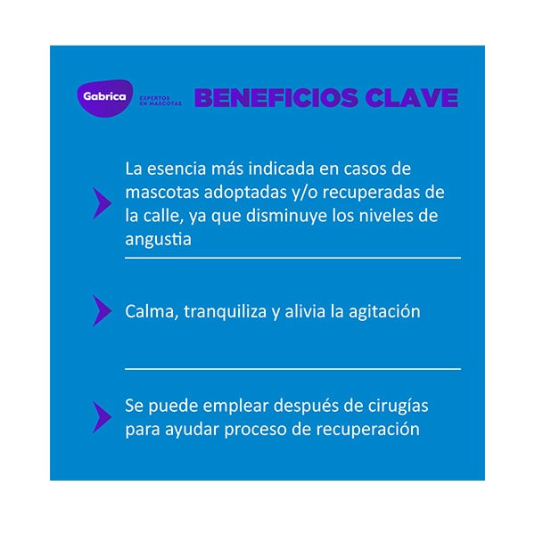 Esencia Floral Rescate Gotas