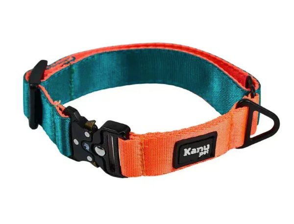 Collar Verde y Naranja con Broche de Seguridad