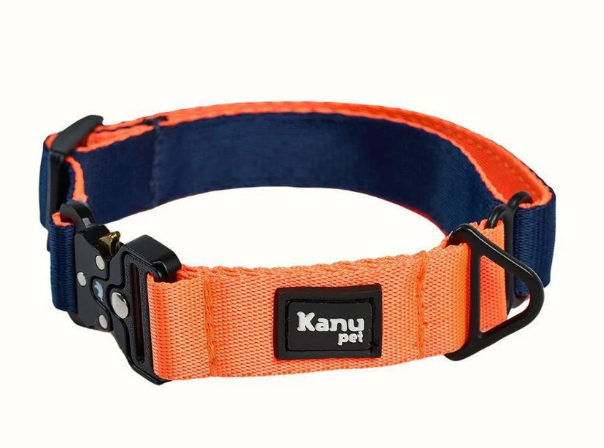 Collar Azul y Naranja con Broche de Seguridad