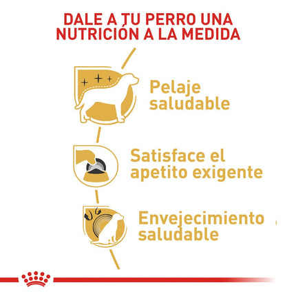Alimento Seco De Royal Canin MIXF BHN Yorkshire Adulto+2lts+poo bags